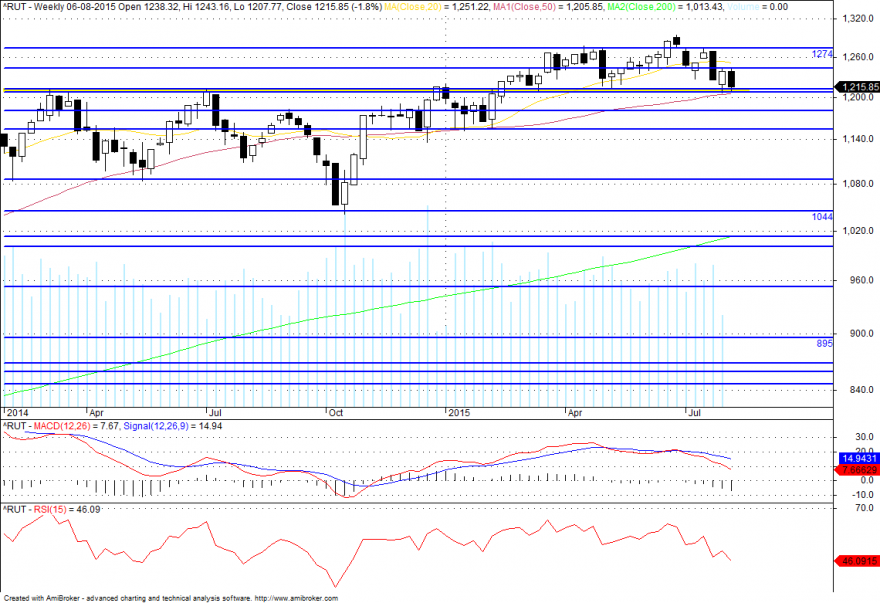 rut_semanal.png