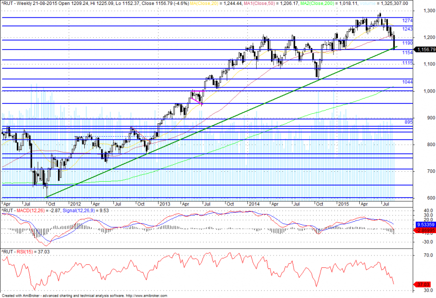 rut_semanal2.png