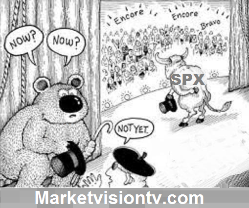 BULL_Bear_APPEARENCE.png
