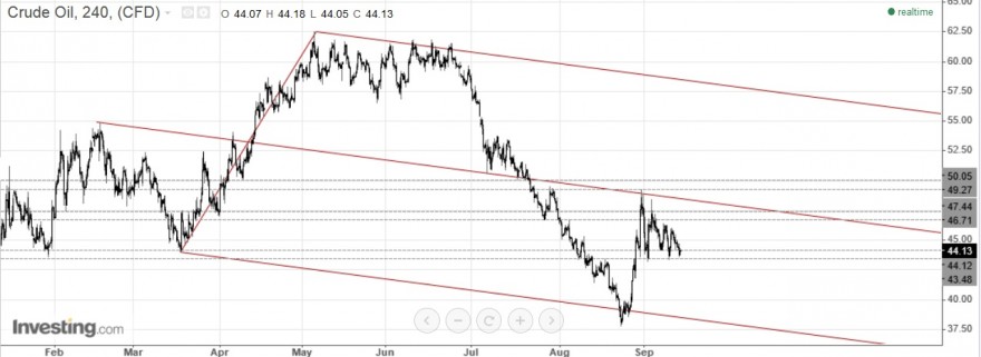 crude diario.jpg