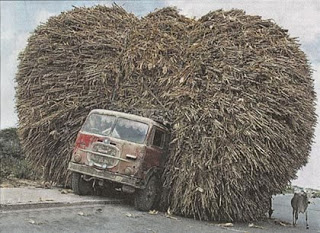 camioneta carregada.jpg