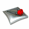 rosa19[1].gif