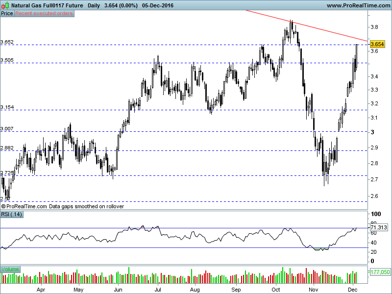 Natural Gas Full0117 Future daily.png