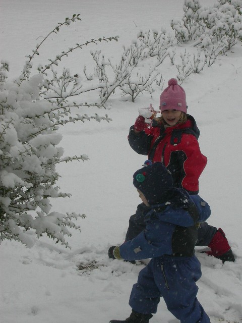 Picture 010.jpg