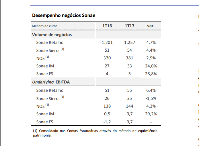sonae areas negocio.PNG