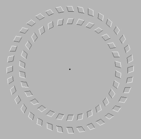 gegenlaeufig.gif