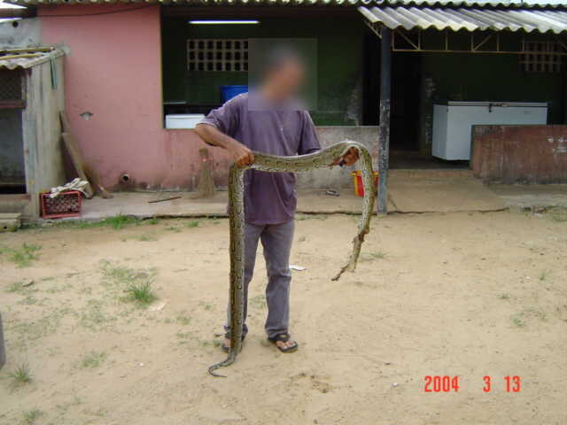 DSC00306.JPG