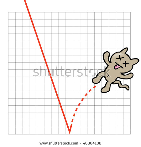 dead cat bounce.jpg