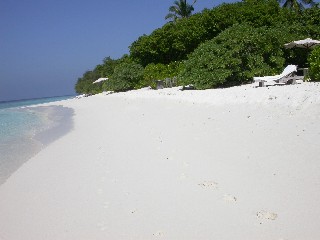 Picture150small.jpg