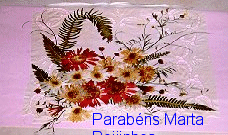 Image1.gif