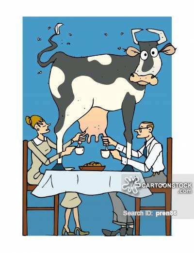 Mexia milking the chinese cow.jpg