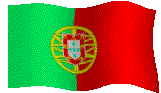 PT-FLAG1.GIF
