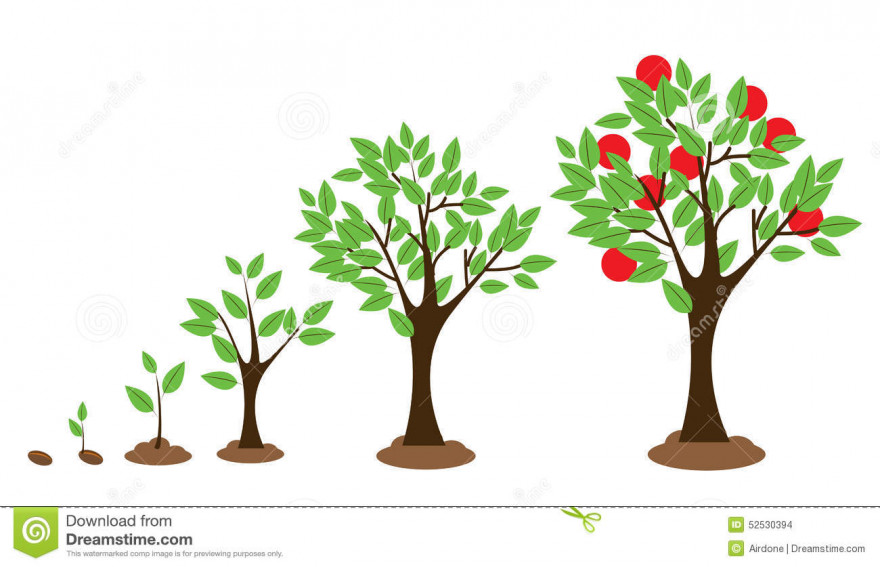 crescimento-da-árvore-52530394.jpg