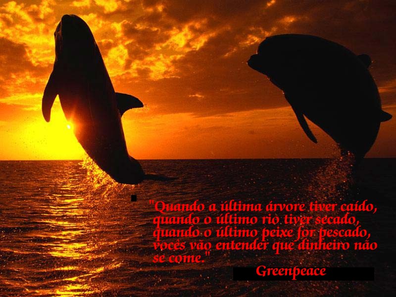greenpeace.jpg