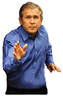 bush28.gif