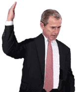bush23.gif