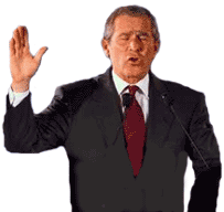 bush38.gif