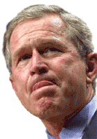 tbush4.gif