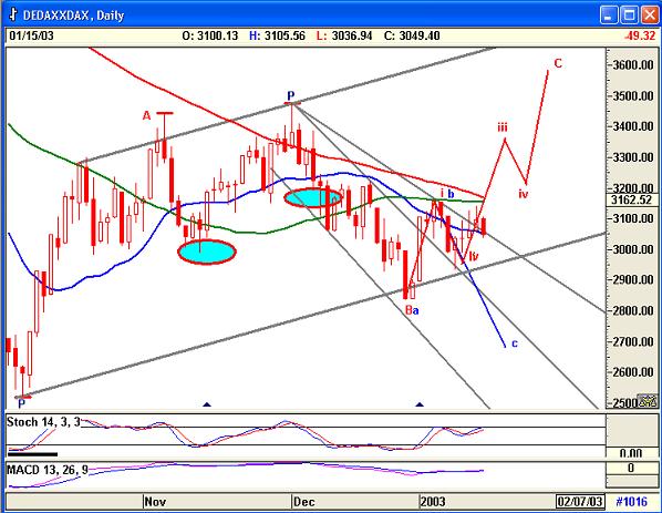 Dax1501.jpg