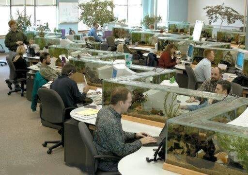 AU TRAVAIL.jpg