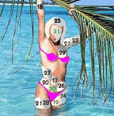 bikini3.gif