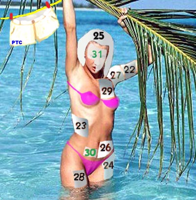 21Jan.jpg