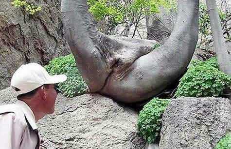 Nature2.jpg