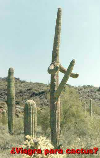 Nature4.jpg