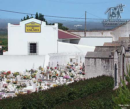 P_matadouro.jpg