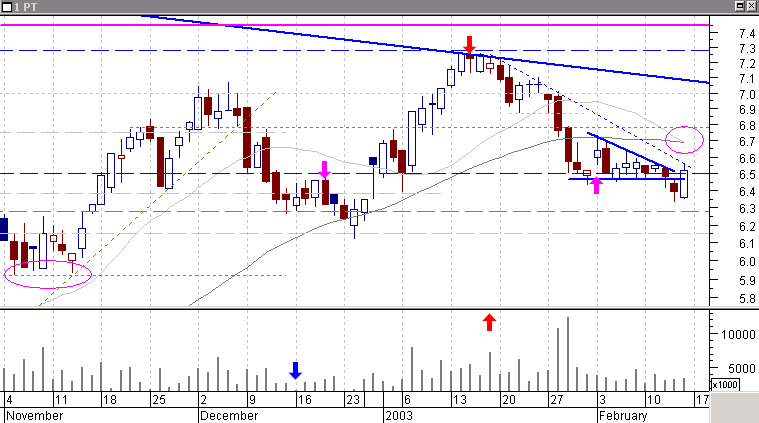 ptc-20030215a.gif