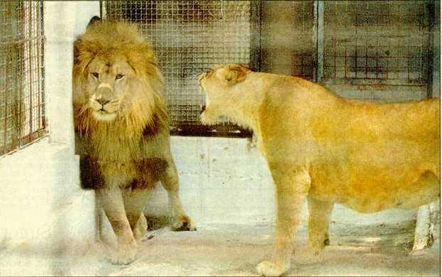 AFTER MARRIAGE.JPG