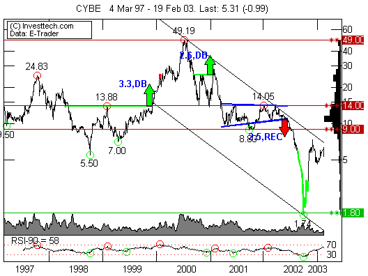 cybe3.gif