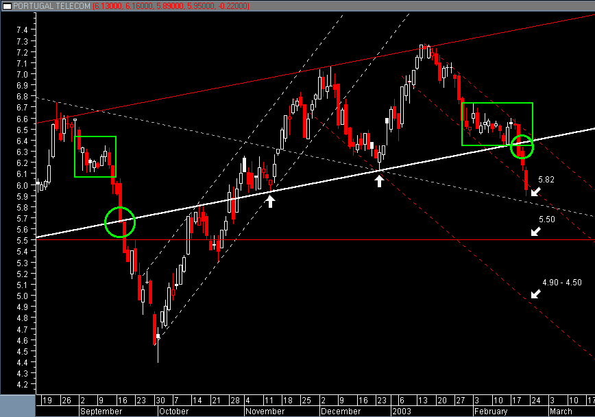 PTC.gif