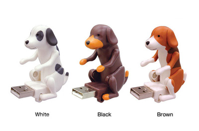 usb_dog.jpg