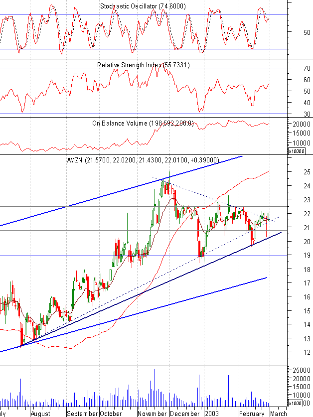 amzn-20030228.gif