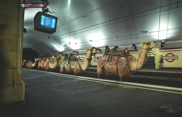 Metro_Sul_Do_Tejo.jpg