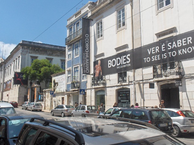 Human Bodies.JPG