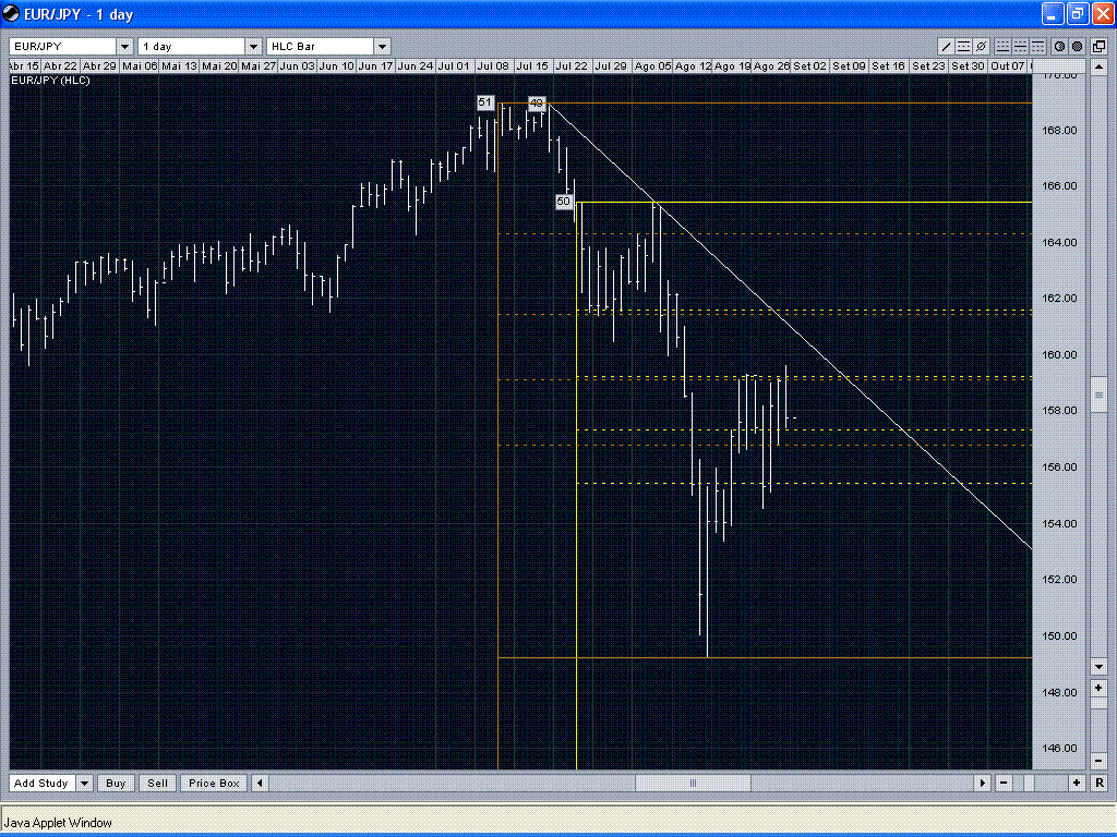 EUR JPY 1D - August 07 Turmoil.GIF