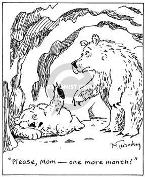 urso.JPG