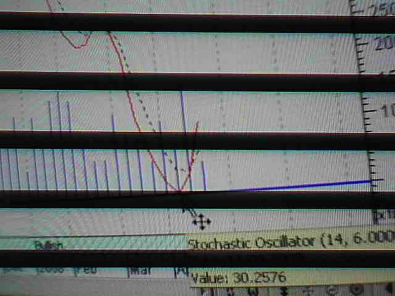 141438.jpg