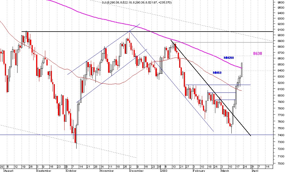 Dow005.jpg