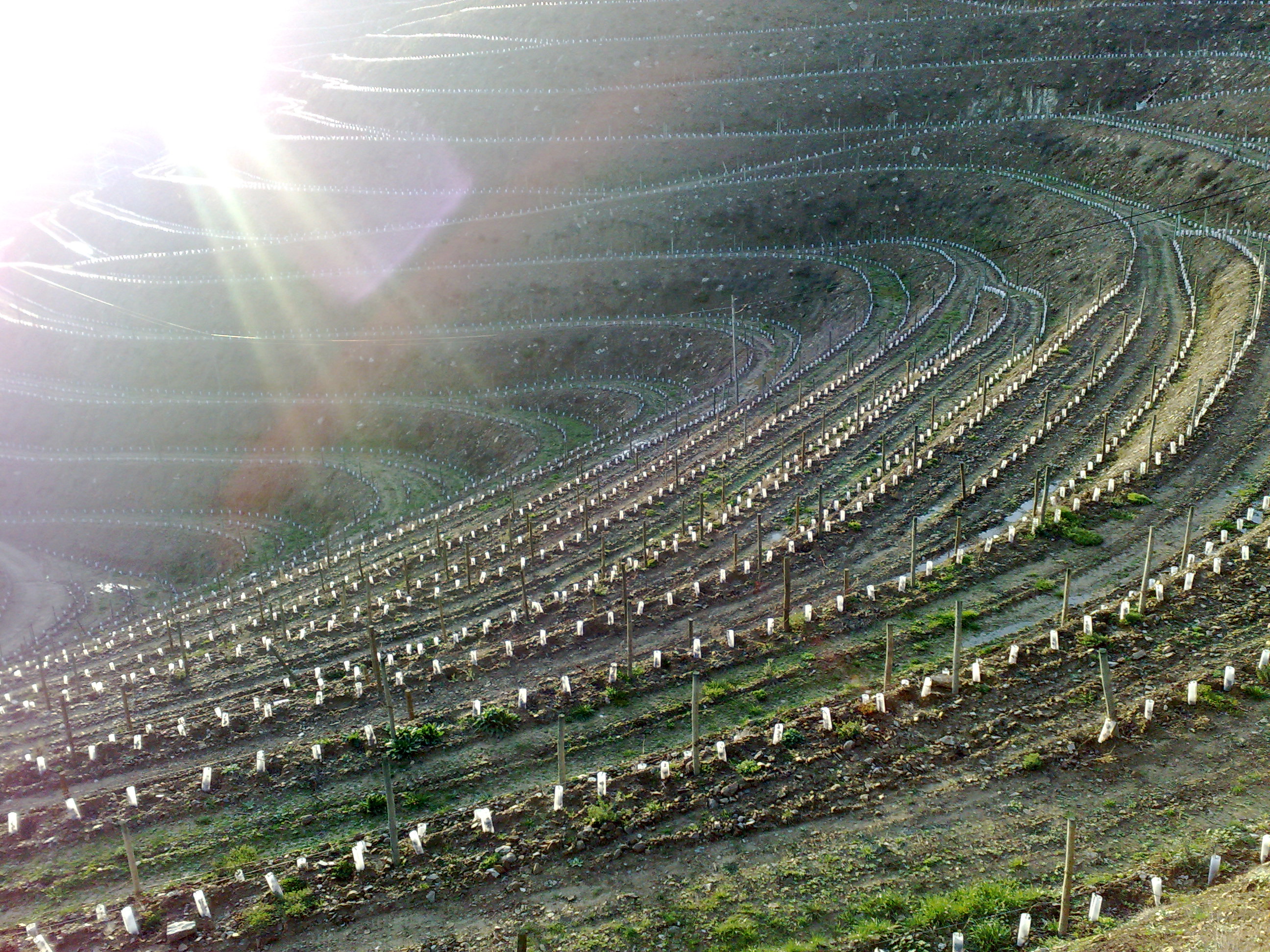 12012008019.jpg
