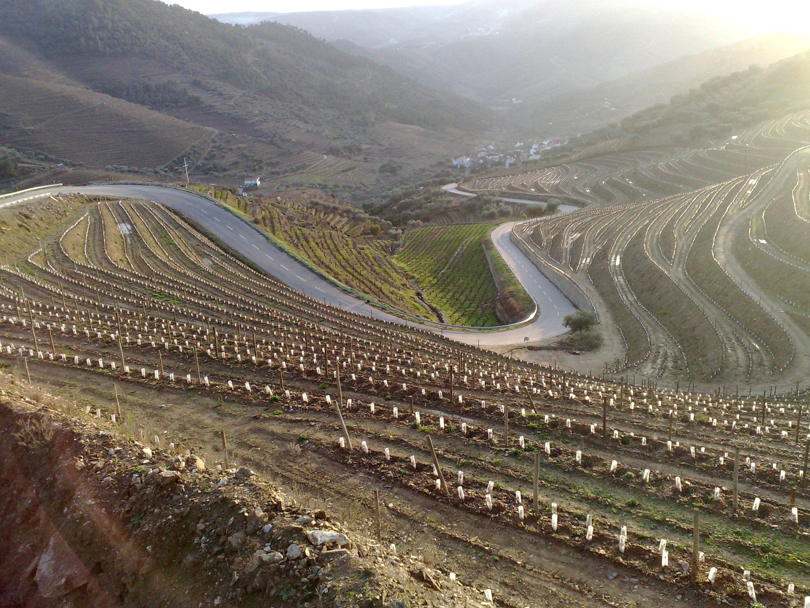 12012008017.jpg