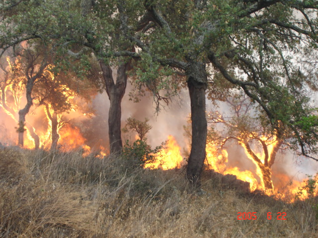 Incêndio 024.jpg