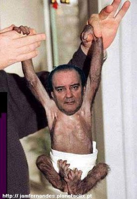 pinto_da_costa_macaco[1].jpg