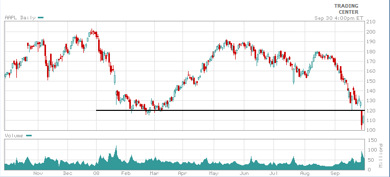 AAPL300908.PNG