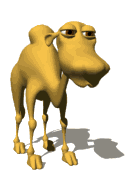 image001.gif