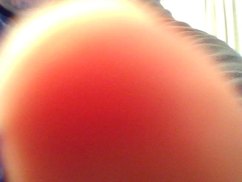 214942.jpg