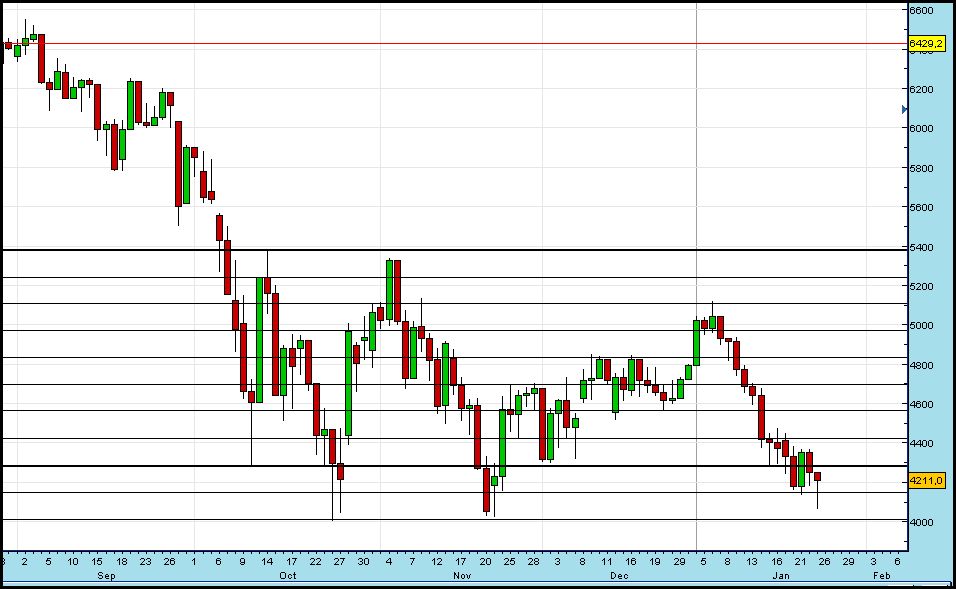 Dax 23-01-09.JPG