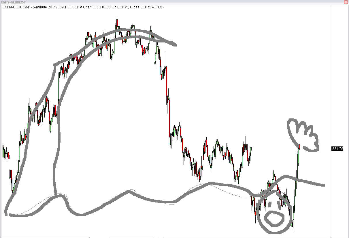bulls cry for help.GIF